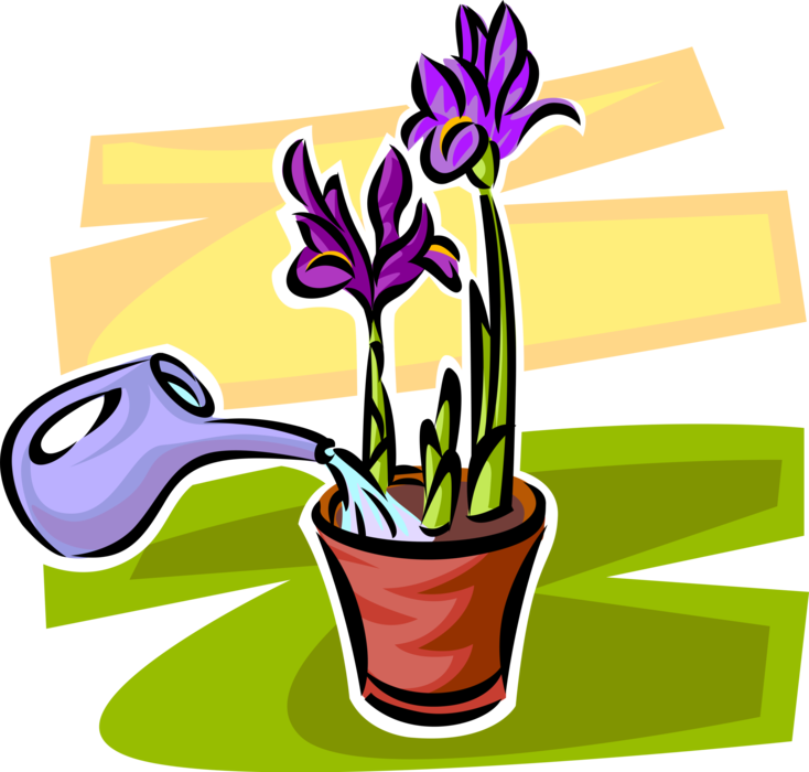 Vector Illustration of Watering Plants in Flower Pot with Watering Can