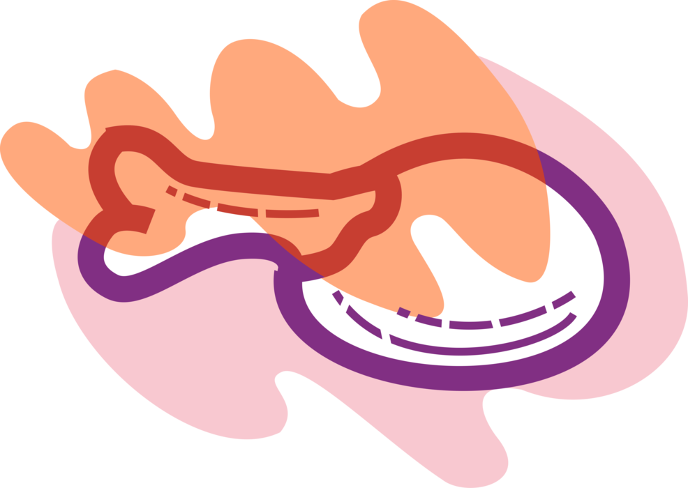 Vector Illustration of Domesticated Fowl Chicken or Turkey Leg