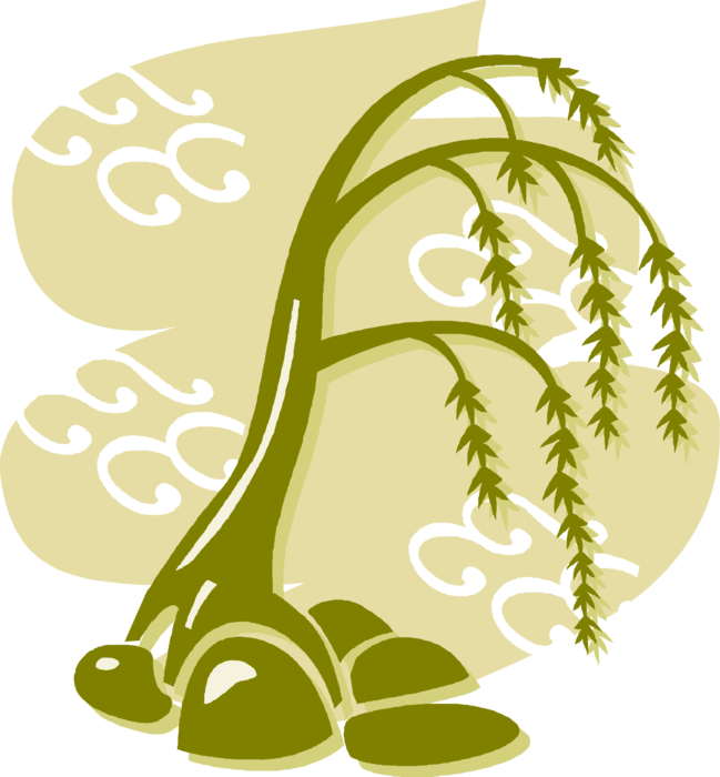 Vector Illustration of Chinese Asian Tree with Hanging Branches