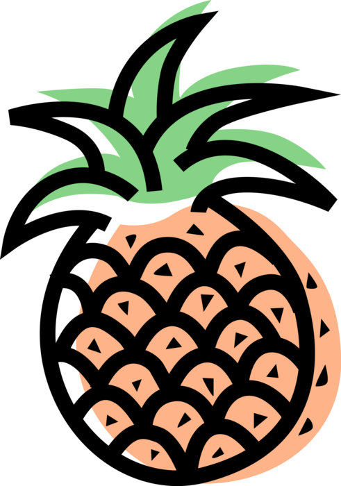 Vector Illustration of Tropical Plant Pineapple Fruit Food