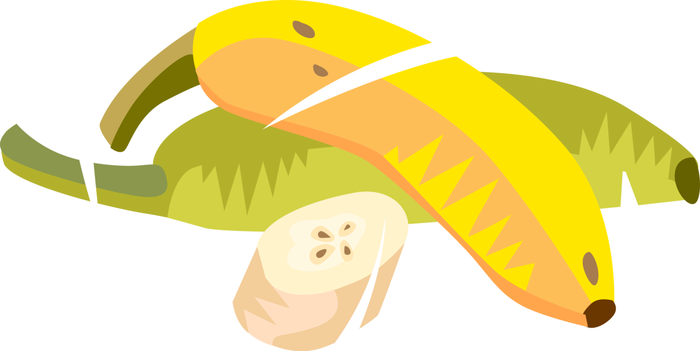 Vector Illustration of Sliced Banana Edible Fruit 