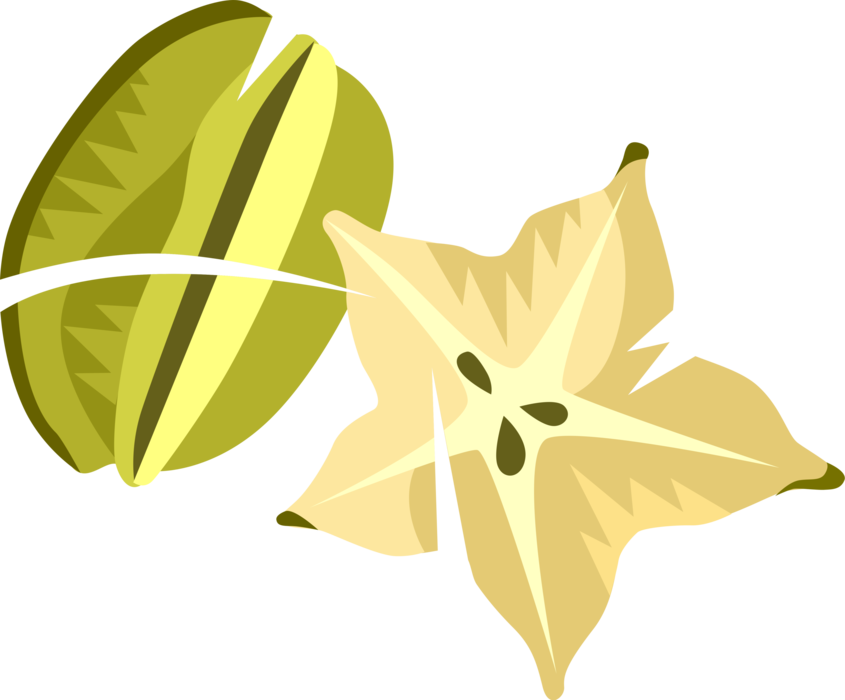 Vector Illustration of Carambola Starfruit Popular in Southeast Asia, South Pacific