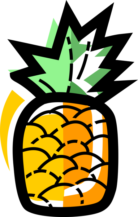Vector Illustration of Tropical Plant Pineapple Fruit Food
