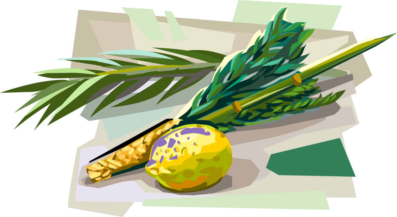 Vector Illustration of Mitzvah Lulav Frond and Etrog Citron for Seven Days of Sukkot Feast of Tabernacles