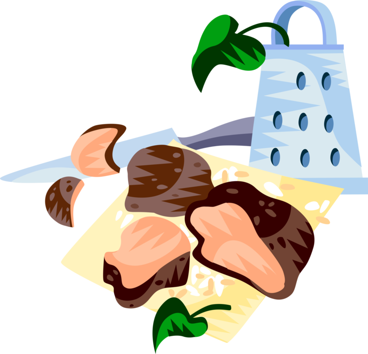 Vector Illustration of European Cuisine French Black Truffles Edible Mushroom
