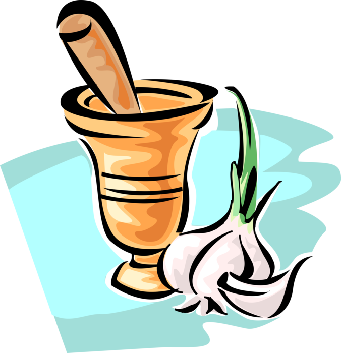 Vector Illustration of Mortar and Pestle Prepare Ingredients by Crushing and Grinding with Garlic Clove
