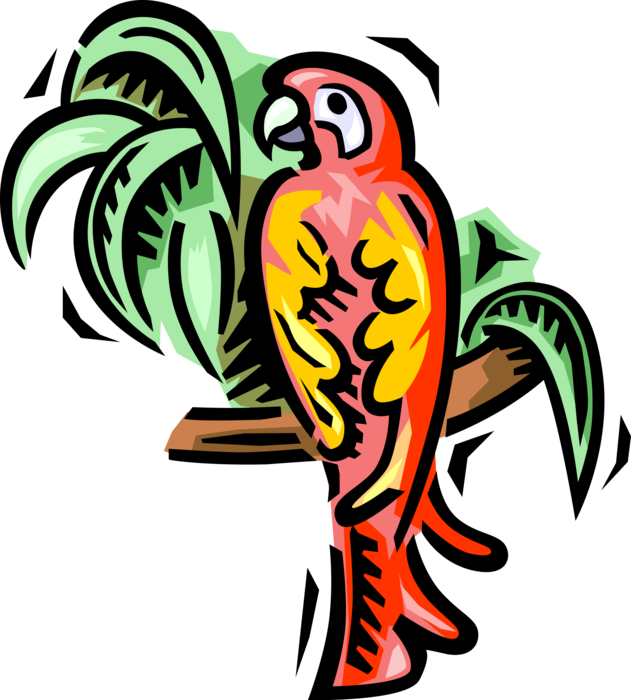 Vector Illustration of South American Macaw Parrot Bird