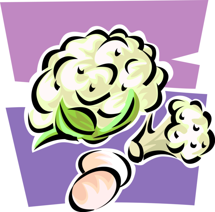 Vector Illustration of Edible Vegetable Head of Cauliflower with Eggs