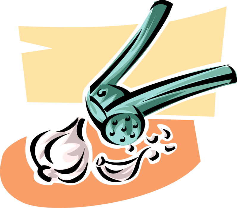 Vector Illustration of Kitchen Garlic Press Tool Crushes Cloves