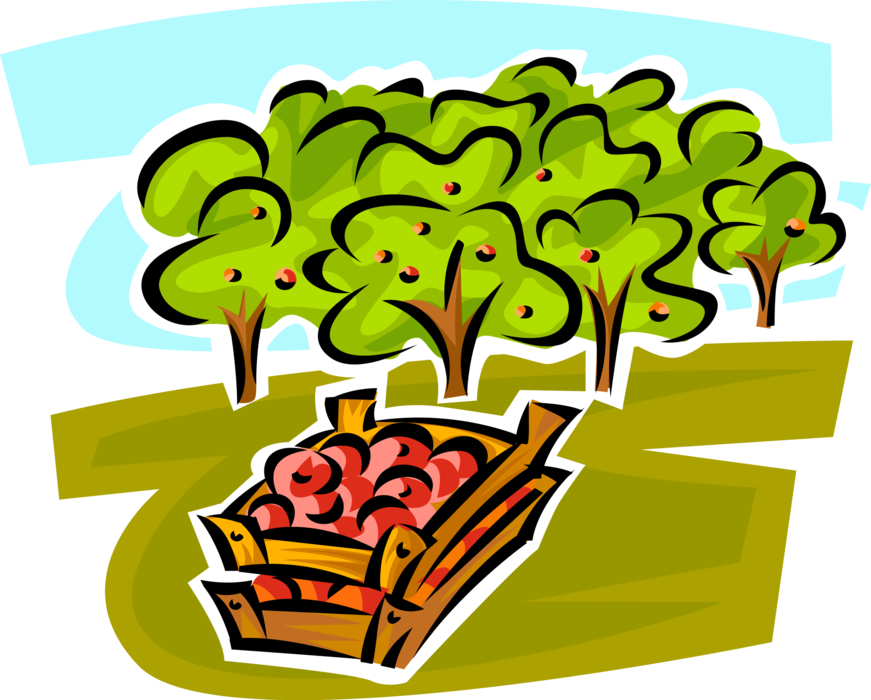 Vector Illustration of Apple Orchard Trees with Fruit Apples in Crates