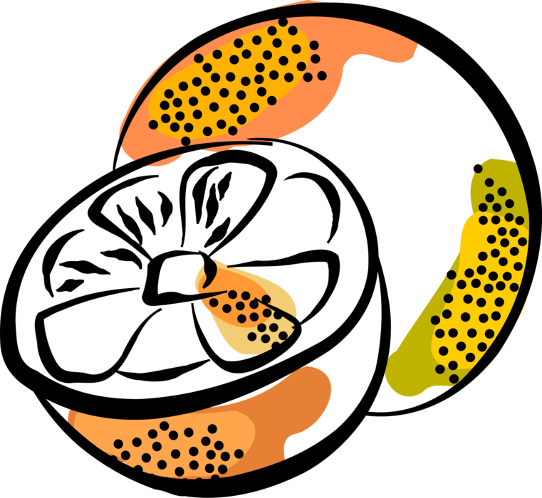 Vector Illustration of Sliced Sweet Citrus Orange