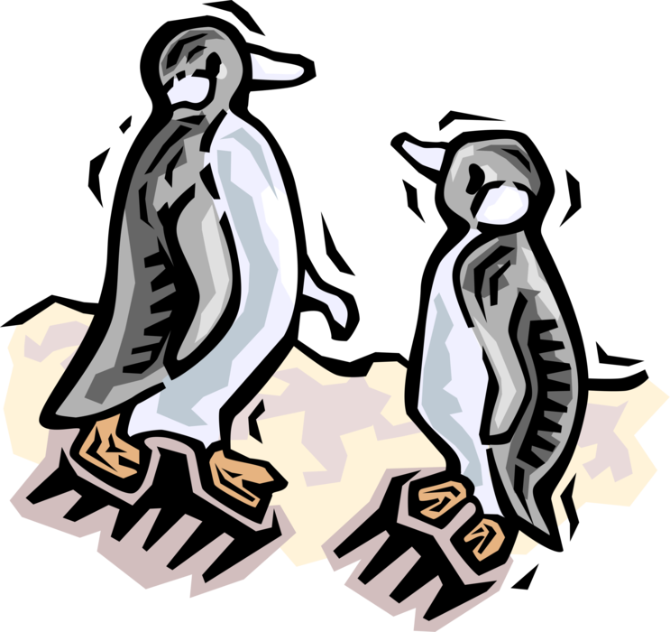 Vector Illustration of Southern Hemisphere Antarctic Polar Region Penguin Flightless Aquatic Bird