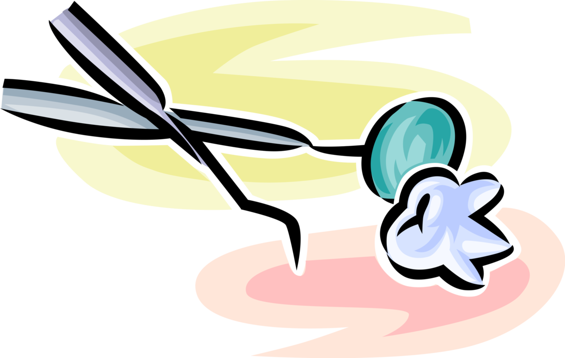 Vector Illustration of Molar Tooth with Dentist's Pick and Dental Mirror Tool