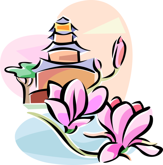 Vector Illustration of Chinese Yulan Magnolia Flower Botanical Horticulture Plant
