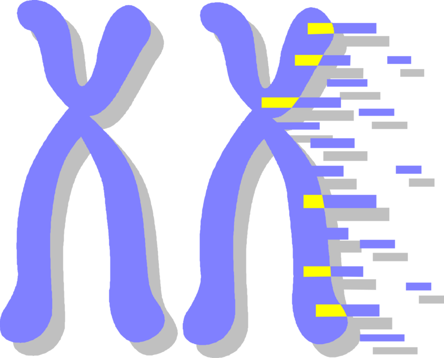 Vector Illustration of Double Helix DNA Deoxyribonucleic Acid Molecule Carries Genetic Instructions