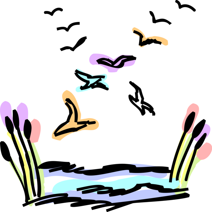 Vector Illustration of Migrating Waterfowl Ducks and Geese Birds with Cattail Bulrushes in Marshlands Wetland