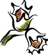 9e8cwzmdfo vc070148