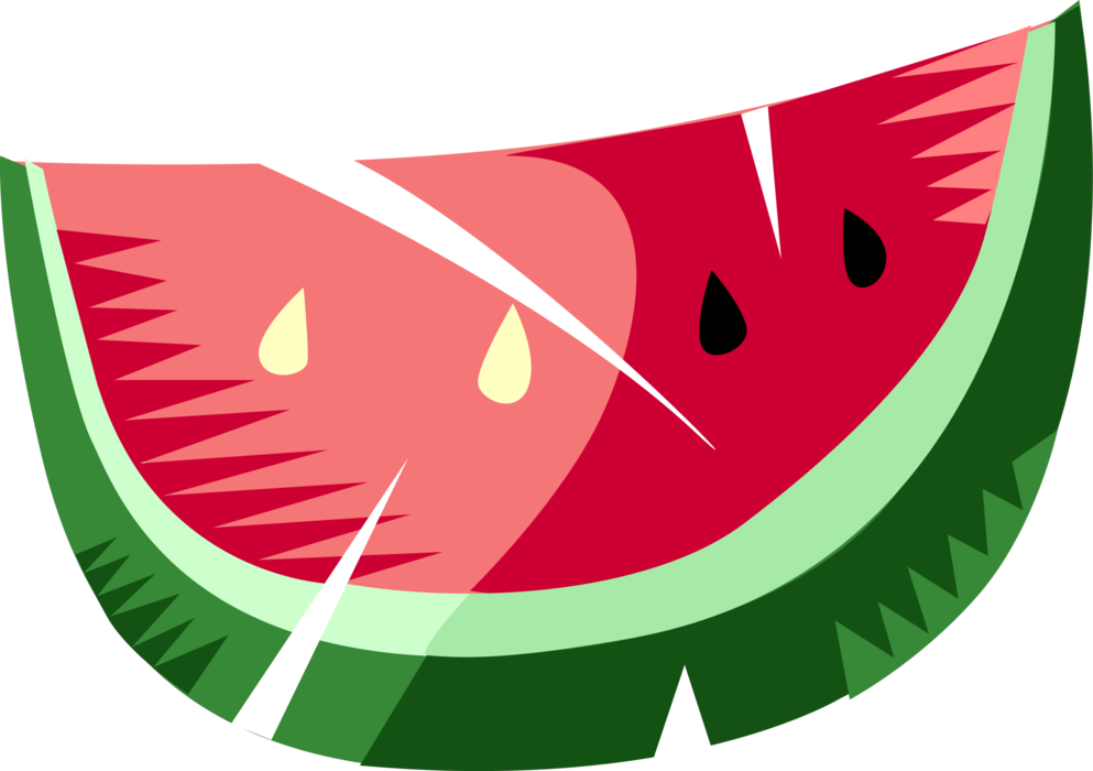 Vector Illustration of Slice of Watermelon Melon Fruit