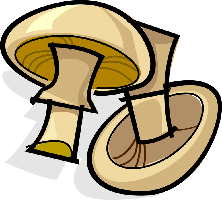 Vector Illustration of Edible Mushroom or Toadstool Fleshy Spore-Bearing Fungus Food