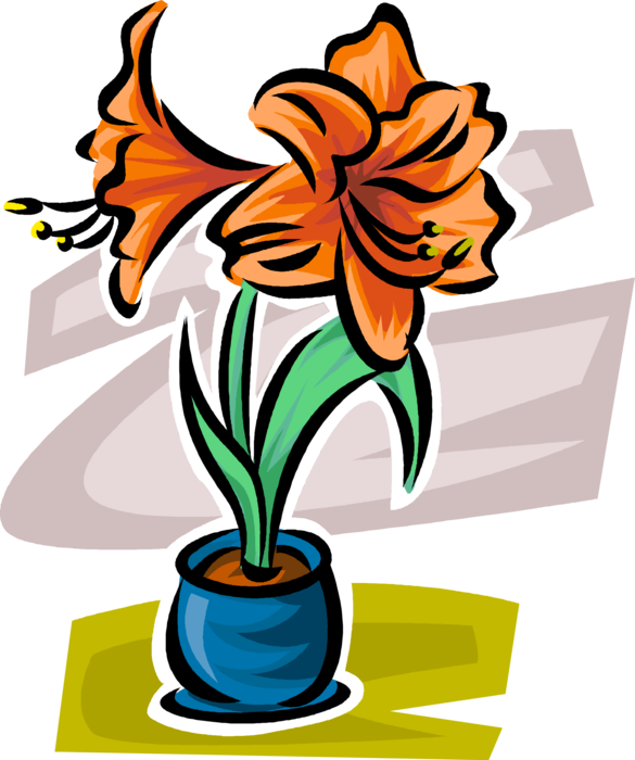 Vector Illustration of Botanical Flowering Plant Garden Lily Flower Blossom in Ceramic Pot