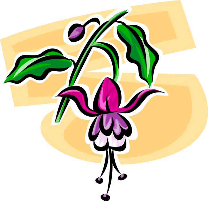 Vector Illustration of Botanical Flowering Plant Garden Honeysuckle Flower Blossom