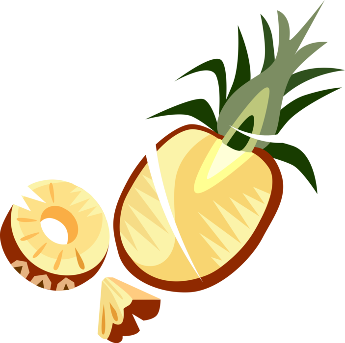 Vector Illustration of Tropical Plant Sliced Pineapple Fruit Food