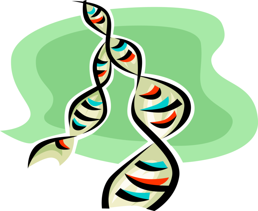 Vector Illustration of Double Helix DNA Deoxyribonucleic Acid Molecule Carries Genetic Instructions