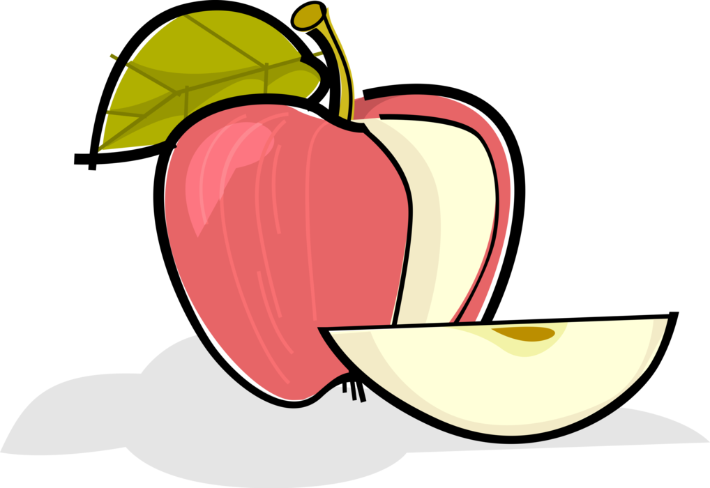 Vector Illustration of Sliced Pomaceous Food Fruit Apple