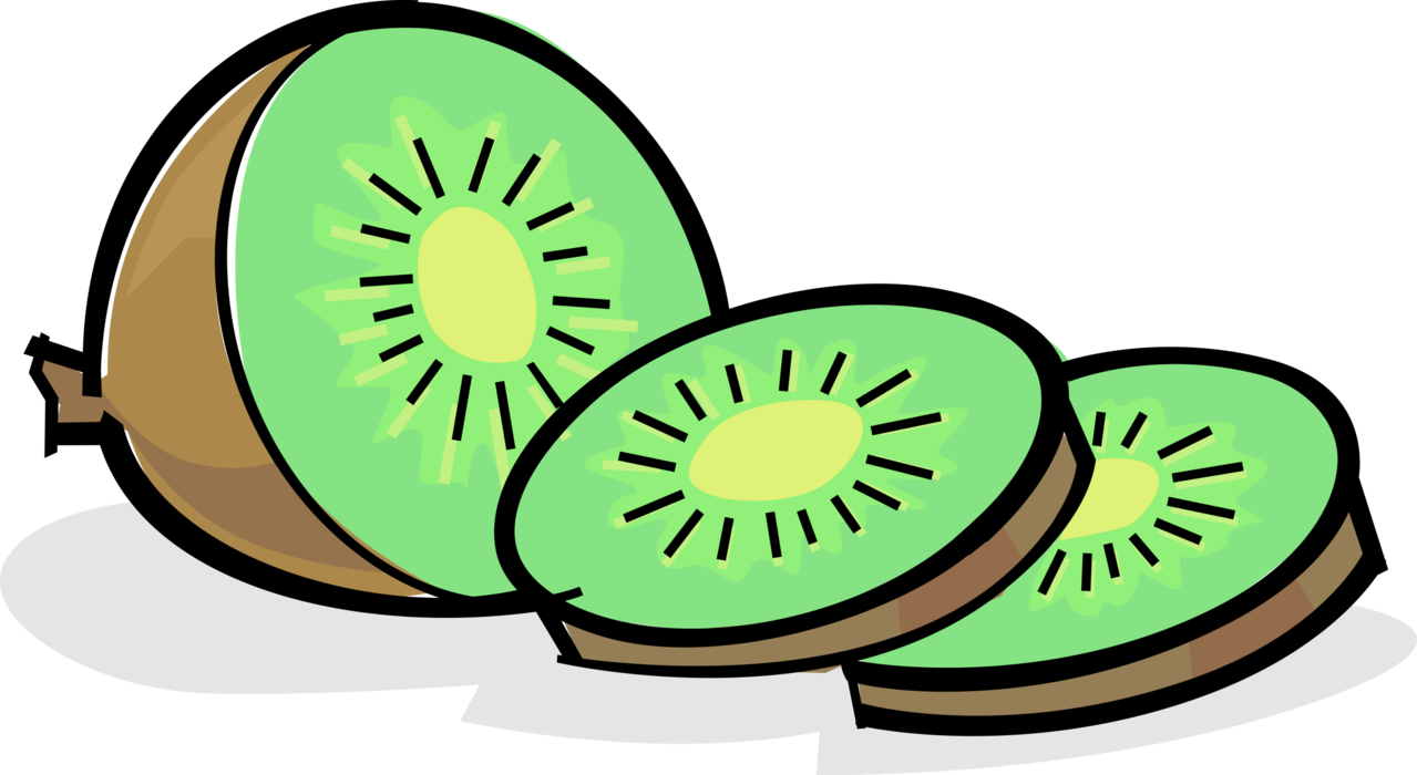 Vector Illustration of Slices of Kiwi Kiwifruit, Chinese Gooseberry or Kiwi Edible Berry Fruit Food