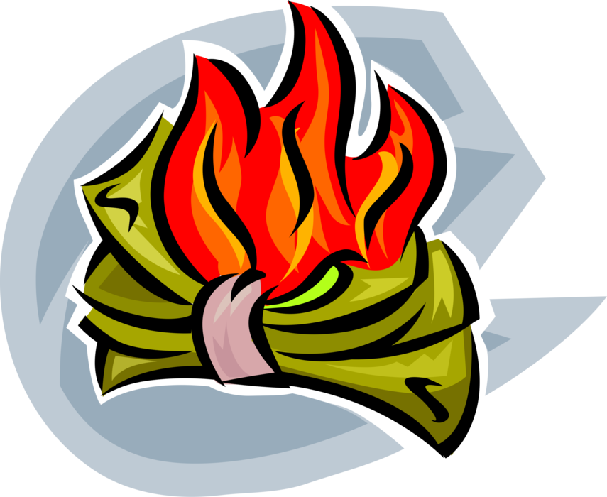 Vector Illustration of Cash Money Dollars Burning with Fire Flames