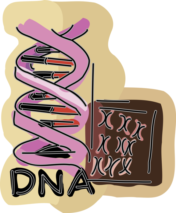 Vector Illustration of Double Helix DNA Deoxyribonucleic Acid Molecule Carries Genetic Instructions