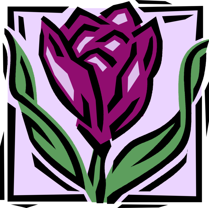 Vector Illustration of Rose Garden Flower Perennial Plant Blossom
