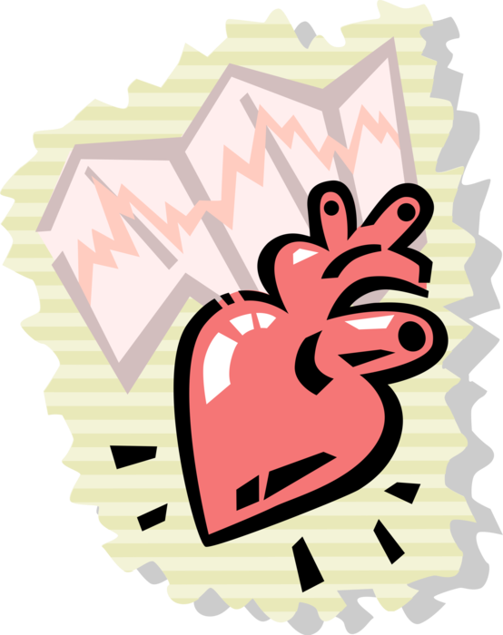 Vector Illustration of Human Heart with Electrocardiogram ECG EKG Chart 