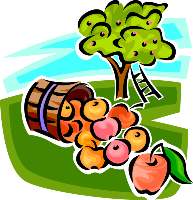 Vector Illustration of Wicker Basket of Apples with Apple Orchard Tree at Harvest Time