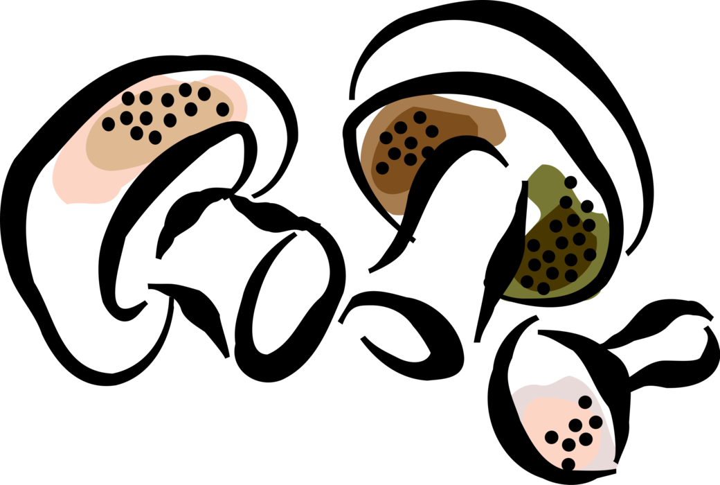 Vector Illustration of Edible Mushroom or Toadstool Fleshy Spore-Bearing Fungus Food