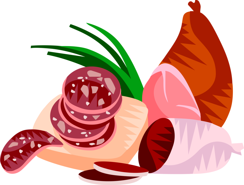 Vector Illustration of German Salami Cured Sausage & Ham