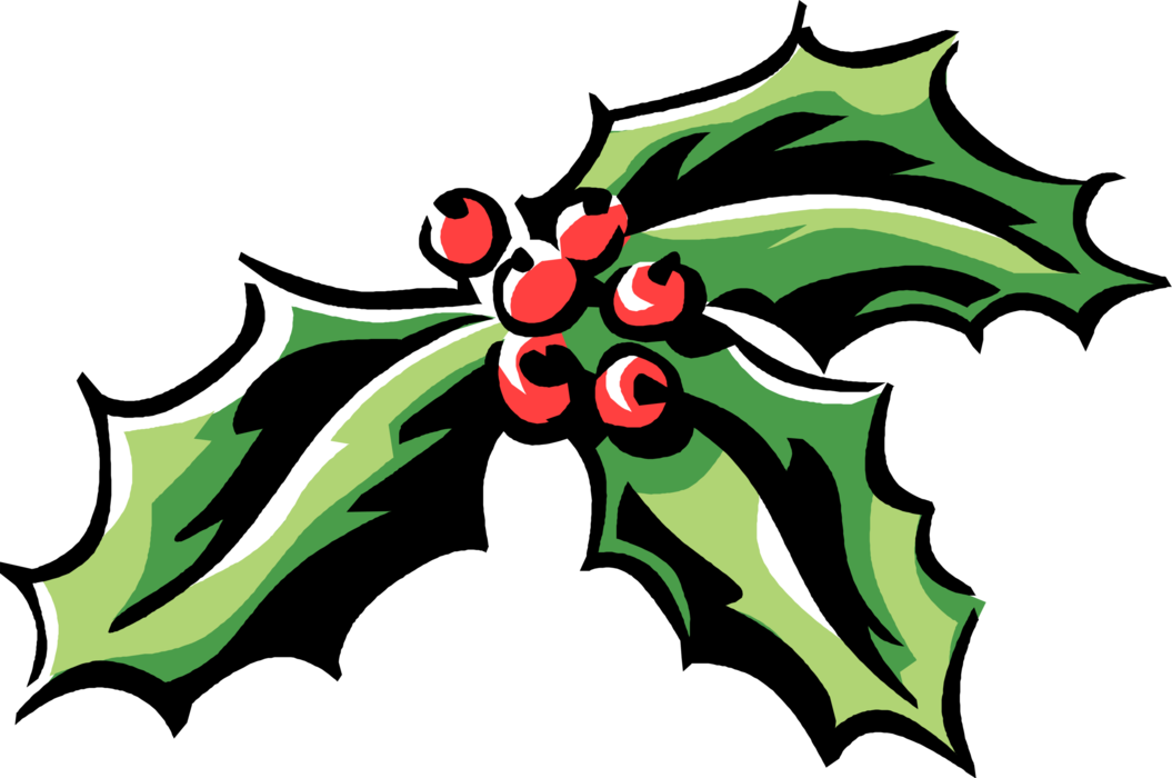 Vector Illustration of Festive Season Christmas Traditional Holly Decoration