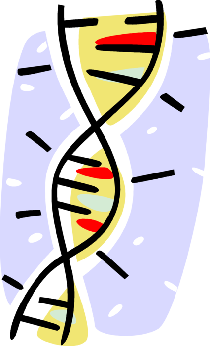 Vector Illustration of Double Helix DNA Deoxyribonucleic Acid Molecule Carries Genetic Instructions