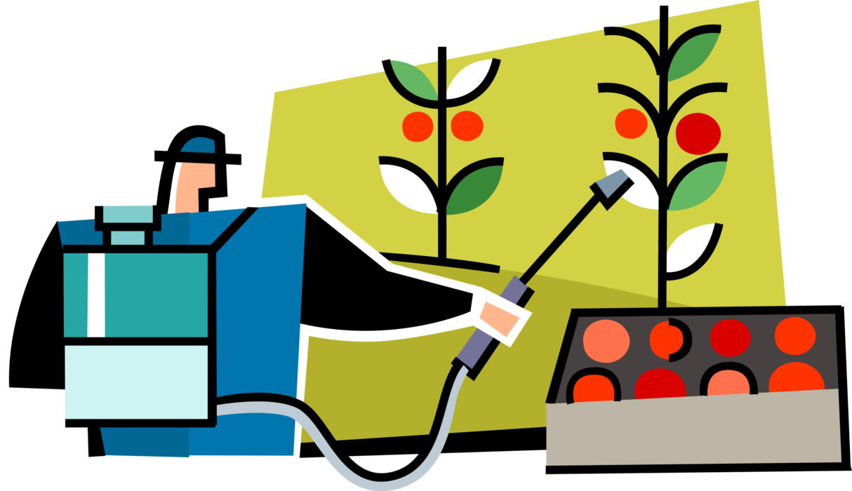 Vector Illustration of Application of Chemical Herbicide in Agricultural Tomato Farming Farm Operation