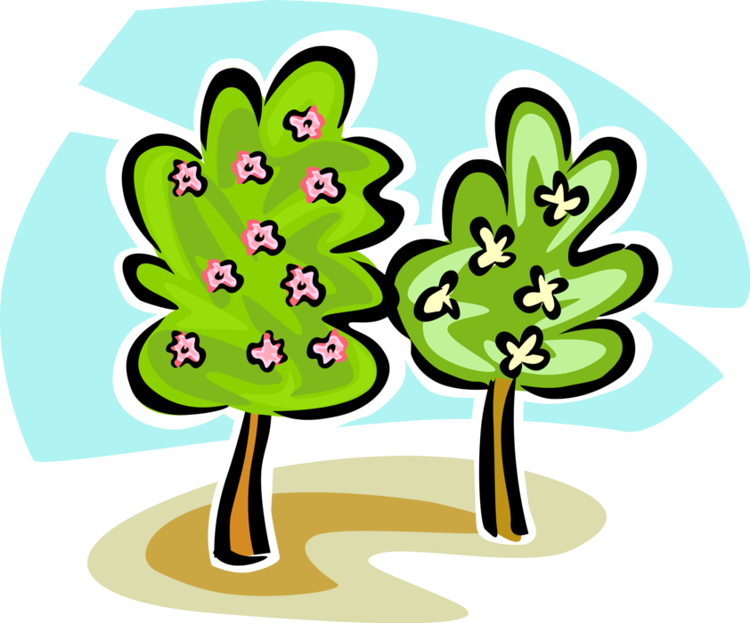 Vector Illustration of Flowering Deciduous Trees in Forest