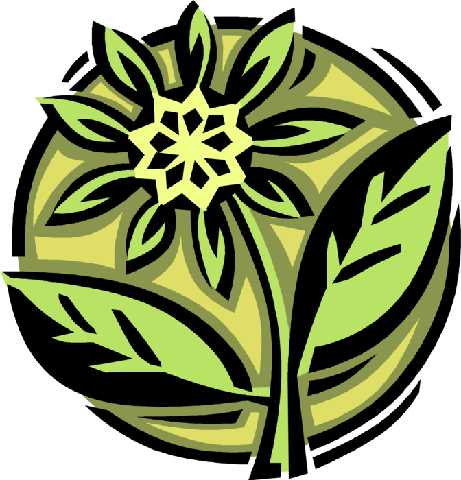 Vector Illustration of Decorative Floral Element Botanical Horticulture Vascular Leaves and Flower