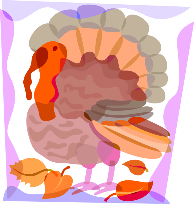 Vector Illustration of Domestic or Wild Turkey Christmas and Thanksgiving Traditional Dinner Animal