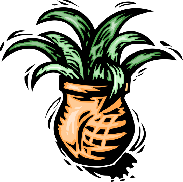 Vector Illustration of Houseplant Potted Plant in Flower Pot
