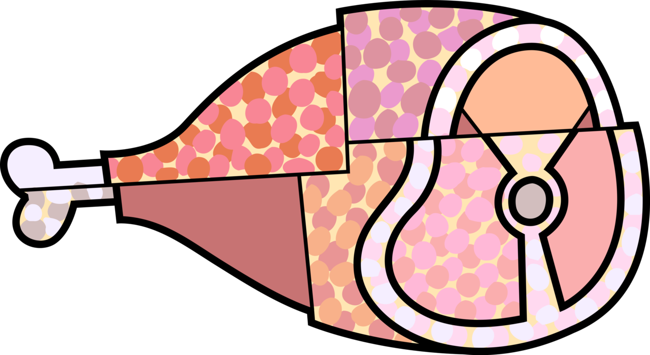 Vector Illustration of Pork Fresh Leg of Ham Meat with Bone