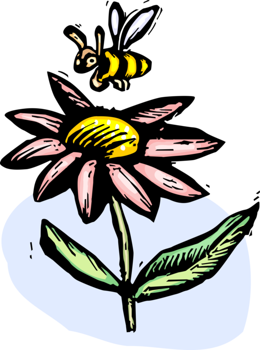 Vector Illustration of Garden Flower and Bumblebee Honeybee Insect Pollinating Plant and Collecting Nectar