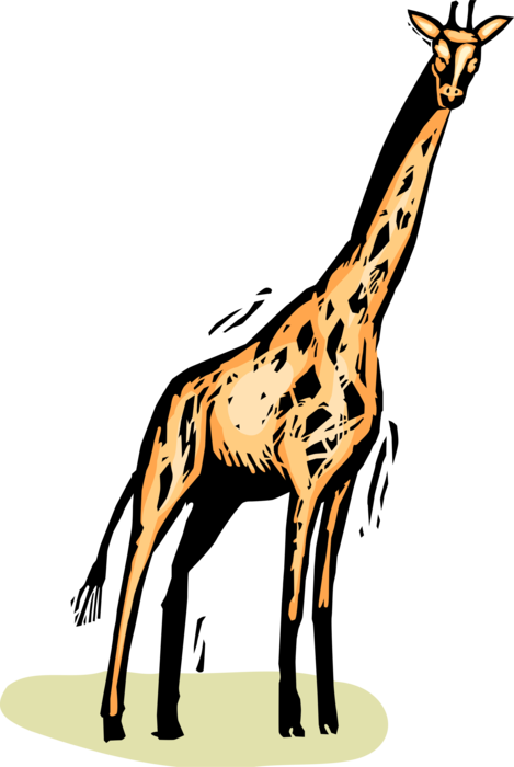 Vector Illustration of African Giraffe Standing Tall