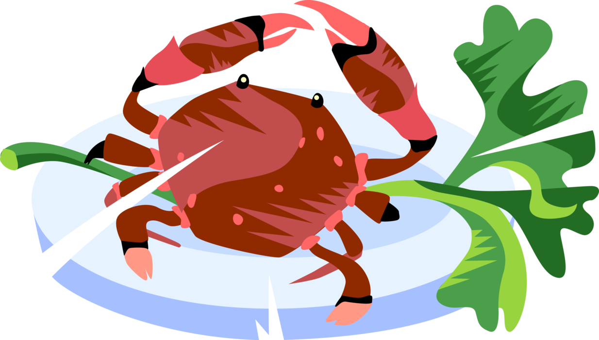 Vector Illustration of Decapod Marine Crustacean Crab with Claws Seafood Dinner on Plate