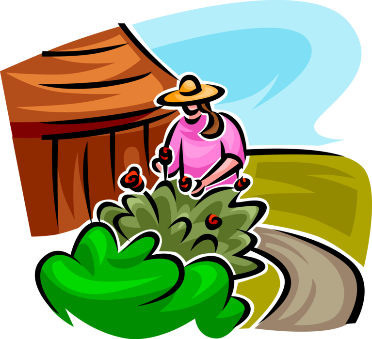 Vector Illustration of Gardener Maintains Garden Flowering Shrub