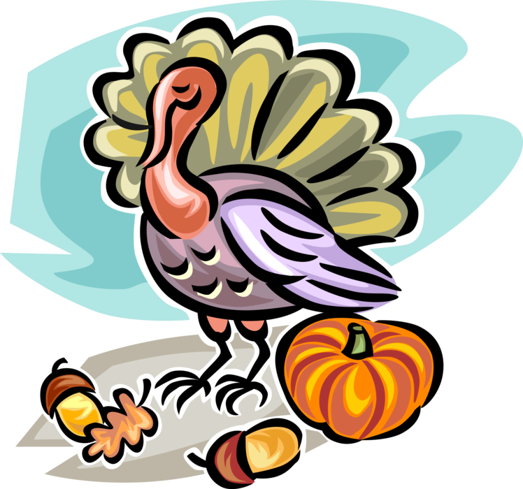 Vector Illustration of Fall or Autumn Harvest Pumpkin, Acorn and Wild Turkey Traditional Thanksgiving Dinner