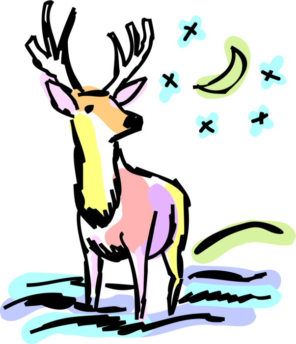 Vector Illustration of White-Tailed or Whitetail Buck Deer with Antlers Stands in Water at Night